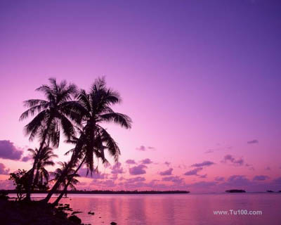 紫海-1.jpg