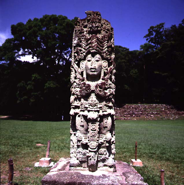 COPAN_4_300[1].jpg